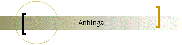 Anhinga